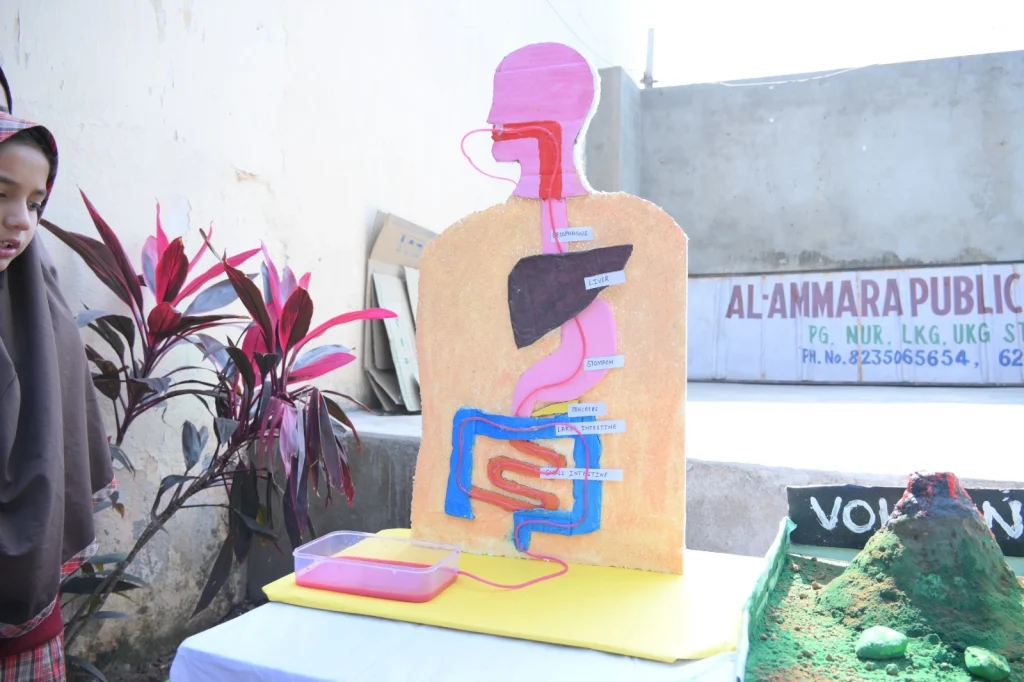 Al Amarah School Mango Azad Nagar 3