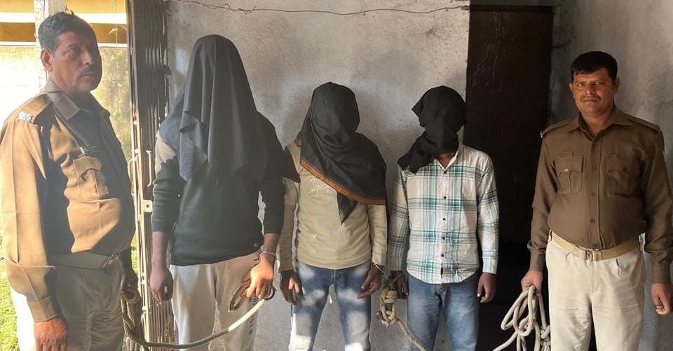 WhatsApp Image 2024 12 07 at 3.53.08 PM