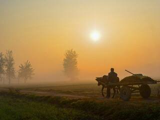मौसम में बदलाव: तापमान में वृद्धि, गर्मी का अहसास