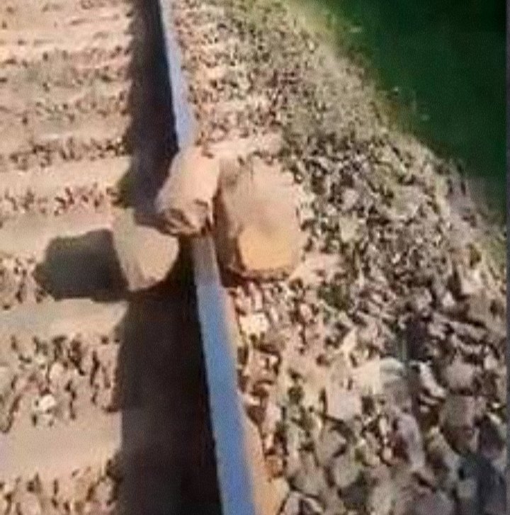 बरेली में रेल हादसा टला, लोको पायलट की सूझबूझ से बची बड़ी दुर्घटना