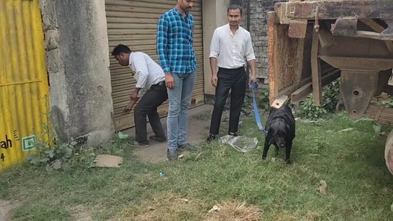 जमशेदपुर में गैरेज मिस्त्री की हत्या,पुलिस ने शुरू की छानबीन…