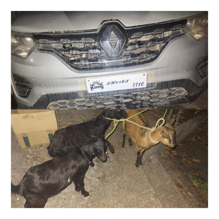 जमशेदपुर में एक बार फिर बकरी चोरी का मामला सामने आया है