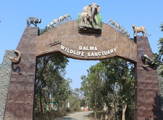 दलमा अब बनेगा ब्रांड, जनता टैगलाइन दें और जीतें इनाम…