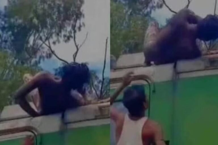 ये कैसा है जुनून! रील के चक्कर में चढ़ गया ट्रेन इंजन पर युवक, अब अस्पताल में जिंदगी के लिए लड़ रहा जंग…