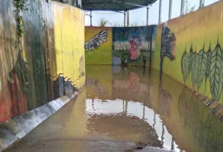 चाकुलिया में रेलवे अंडरपास बना खतरे का रास्ता, पानी में तैर रहे जहरीले सांप, लोगों को आने-जाने में परेशानी…