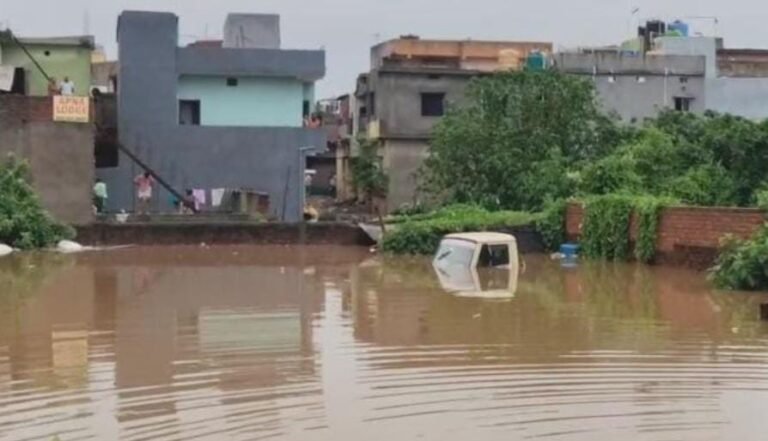 जमशेदपुर से सटा कपाली बना टापू: ध्वस्त ड्रेनेज सिस्टम से घुसा घरों में पानी, मवेशी की मौत, वाहन डूबे…