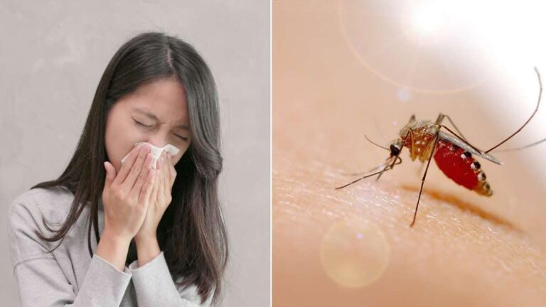 मानसून ने दस्तक दे दी है और मानसून के साथ ही आती हैं बीमारियां भी, जानिए इस मानसून कैसे बचा सकते हैं खुद को बीमारियों से…