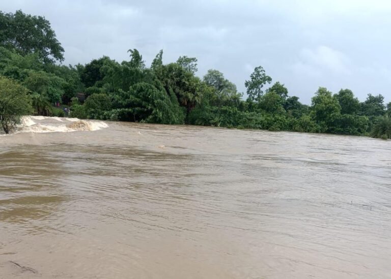 जमशेदपुर में बाढ़ का कहर : स्वर्णरेखा और खरकाई नदी उफान पर, प्रशासन ने जारी किया कंट्रोल रूम नंबर…