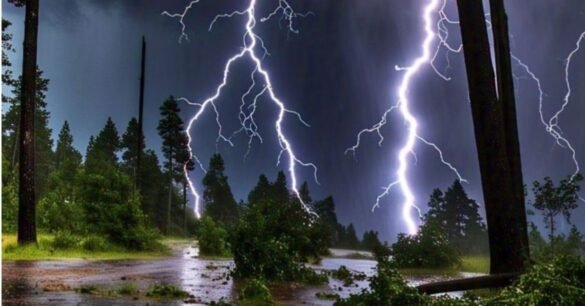 c847e506 94e3 4694 9b77 2e1f2966a4e2 1 all 80078