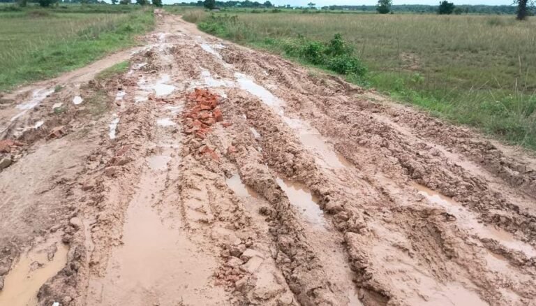 जादूगोड़ा के तिलामुंडा गांव में बारिश ने सड़क को बनाया दलदल, ग्रामीण बोले- “विकास नहीं तो वोट नहीं”…