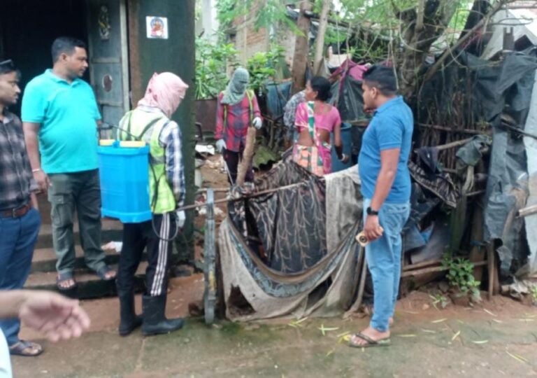 चाकुलिया में मच्छर जनित बीमारियों से बचाव को लेकर एंटी लार्वा छिड़काव, छह जगह मिले डेंगू के लार्वा…