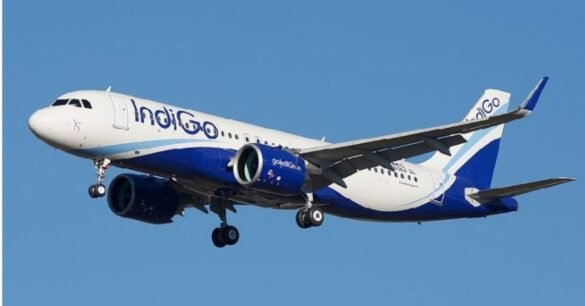पटना एयरपोर्ट से उड़ान भरते ही इंडिगो फ्लाइट में बर्ड हिट, फिर…