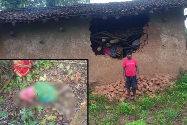 गढ़वा में जंगली हाथी का आतंक, 70 वर्षीय महिला को कुचलकर मार डाला, घर भी किया क्षतिग्रस्त…