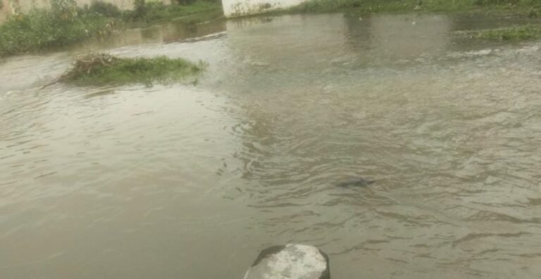 सरायकेला में जलजमाव से बुरा हाल! रहमत नगर के लोग बने जल कैदी, नालों का गंदा पानी घरों में घुसा…