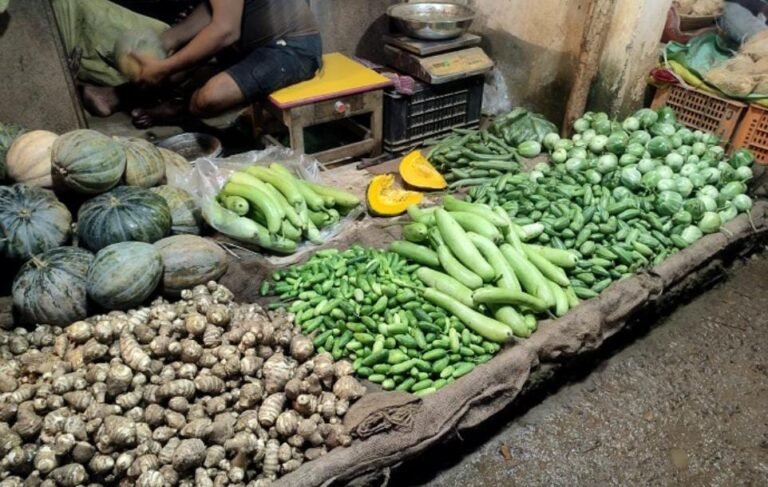 किचन का बिगड़ा बजट!! लगातार बारिश से सब्जी के दामों में आग, साप्ताहिक हाट में 40 रुपये से नीचे नहीं मिल रही कोई भी सब्जी…