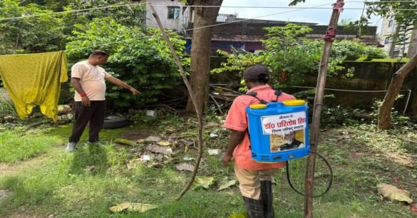 जमशेदपुर में डेंगू का प्रकोप: दर्जनों लोग बीमार, 9 मरीज अस्पताल में भर्ती…