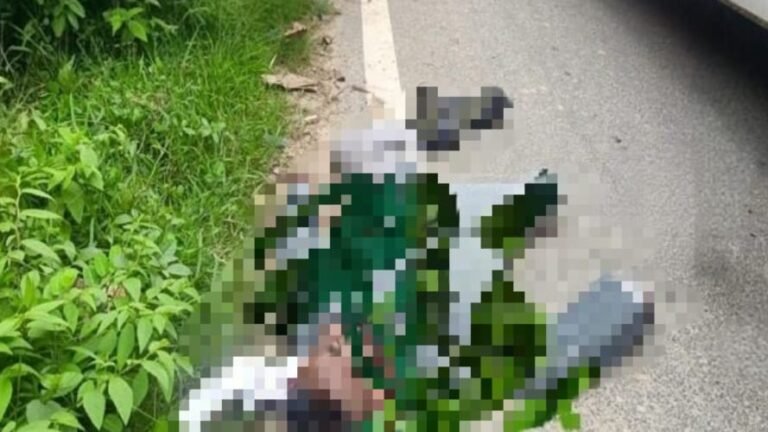 West Singhbhum: चाईबासा-तांतनगर मार्ग पर स्कूटी और बाइक की टक्कर, युवक की मौके पर मौत…