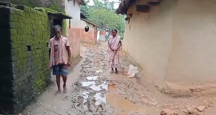 ईचागढ़ गांव में दो हाथियों का तांडव: दो रातों तक मचाया उत्पात, कई घर क्षतिग्रस्त, ग्रामीणों में दहशत वन विभाग ने शुरू की निगरानी…