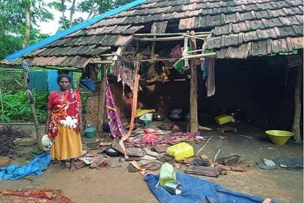 जंगली हाथियों का आतंक: कोटूसोल गांव में घर तोड़ा, अनाज खाया, ग्रामीणों में दहशत…