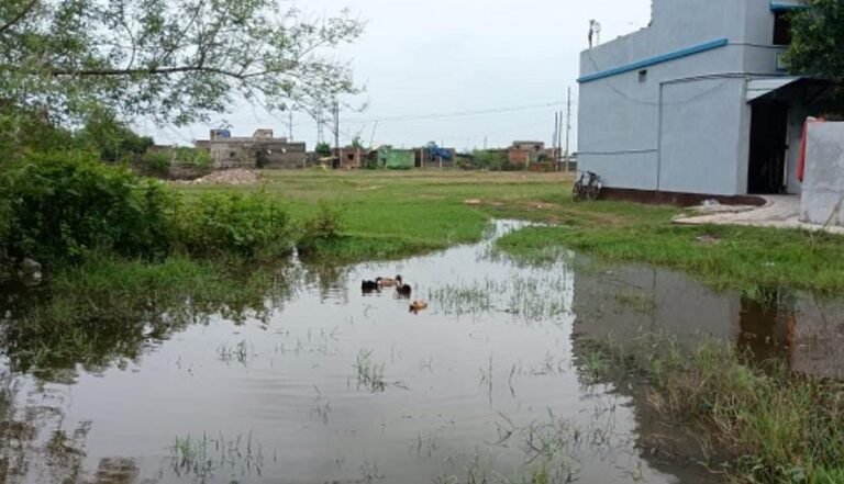 जमशेदपुर ग्रामीण क्षेत्र!!जादूगोड़ा के रामनगर में सड़क का अभाव, बरसात में पगडंडी के सहारे आने-जाने को मजबूर ग्रामीण…