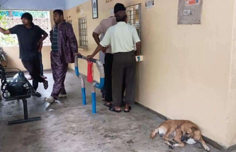 जमशेदपुर ग्रामीण क्षेत्र!! मुसाबनी से जादूगोड़ा तक आवारा कुत्तों का आतंक, 7 महीने में 344 बच्चे और बुजुर्ग बने शिकार…