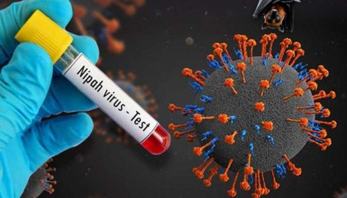 Nipah Virus ने फिर दी दस्तक!! केरल में एक और मौत, छह जिले हाई अलर्ट पर…
