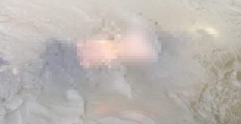 Jamshedpur: स्वर्णरेखा नदी में मिली अज्ञात किशोरी की लाश, जांच में जुटी है पुलिस…