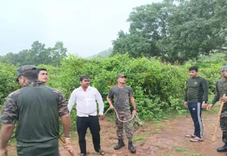 गिरिडीह में युवक की सिर कटी लाश बरामद, चचेरे भाई ने की हत्या, गिरफ्तार…