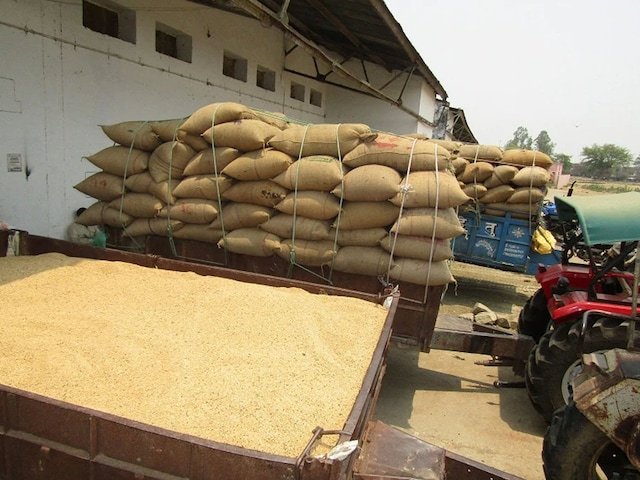 एफसीआई गोदाम से चावल चोरी करते तौशिक रंगे हाथ गिरफ्तार, चार आरोपी फरार