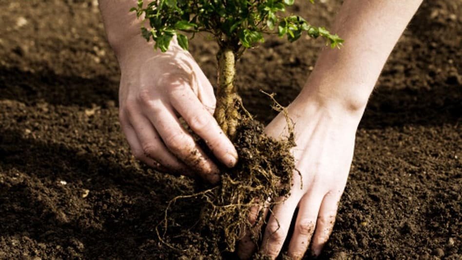 thumbnail gettyimages 157427185 170667a