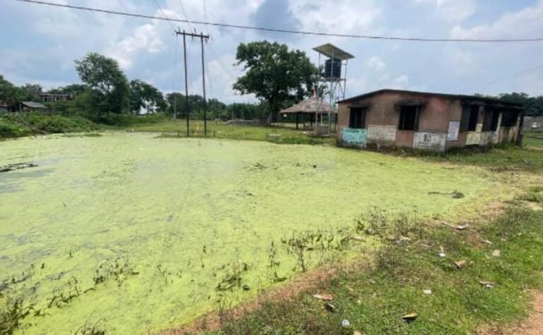 जमशेदपुर ग्रामीण क्षेत्र! लखीपुरा आंगनबाड़ी केंद्र के पास जलजमाव से बच्चे परेशान, शिकायतों के बाद भी नहीं हुई कार्रवाई…