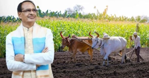 शिवराज सिंह की बड़ी घोषणा: अब फसल की ढुलाई का खर्च उठाएगी सरकार, किसानों को मिलेगा बड़ा फायदा…