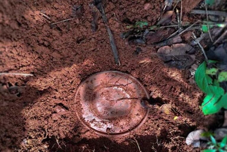 सरायकेला में बड़ी सफलता: पहाड़ी इलाके से भारी मात्रा में आईईडी बरामद, बम निरोधक दस्ते ने किया नष्ट…