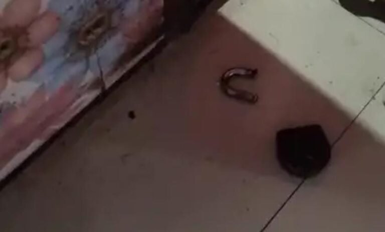 जमशेदपुर में फिर मंदिरों में चोरी, टेल्को के तीन मंदिरों से चांदी का मुकुट व नकद रकम चोरी…