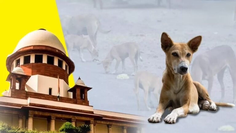 सुप्रीम कोर्ट का बड़ा फैसला : नसबंदी के बाद ही छोड़े जाएंगे कुत्ते, सार्वजनिक जगहों पर डॉग फीडिंग पर बैन जारी…