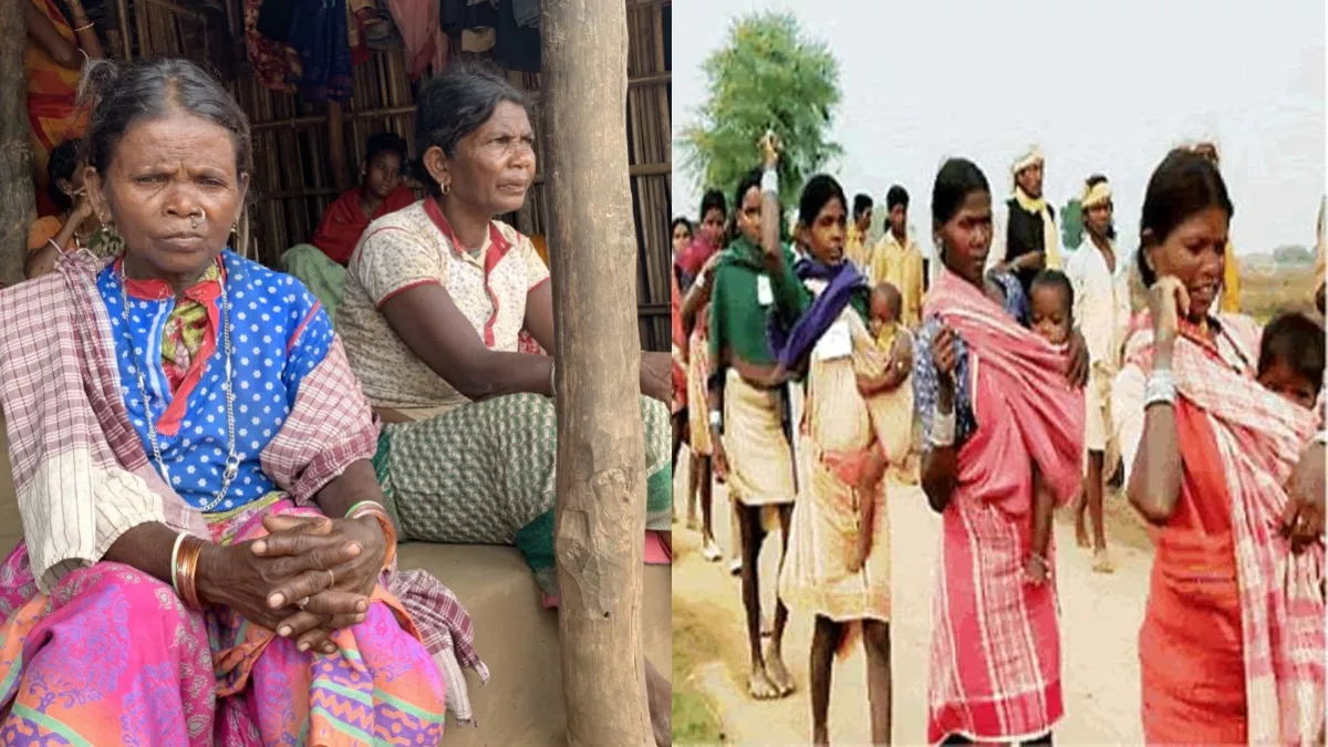 05 09 2025 tribal jharkhand 24036368