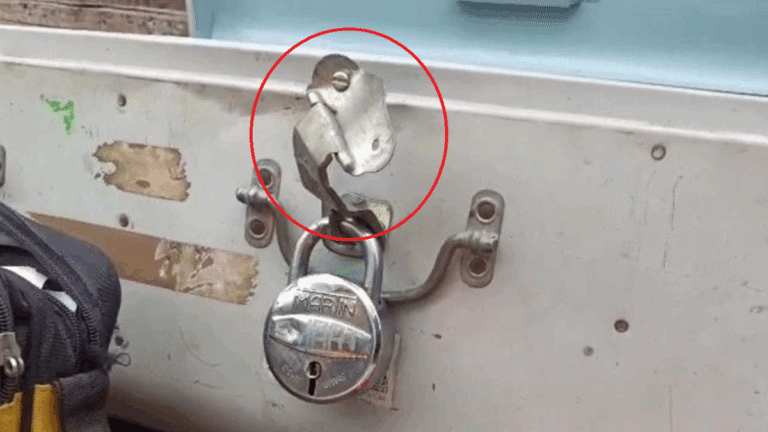 Jharkhand: गिरिडीह में एक ही रात चार घरों में चोरी, 7 लाख की संपत्ति पर हाथ साफ…