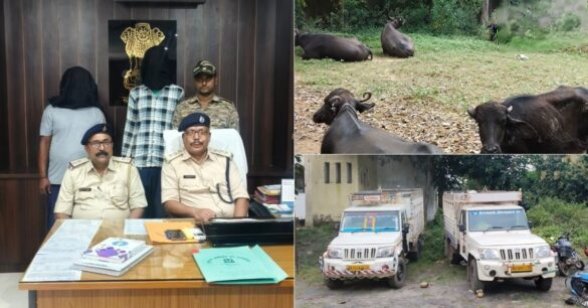 Jharkhand: पलामू में पशु तस्करों की साजिश नाकाम, पुलिसकर्मियों को कुचलने की कोशिश, दो गिरफ्तार…