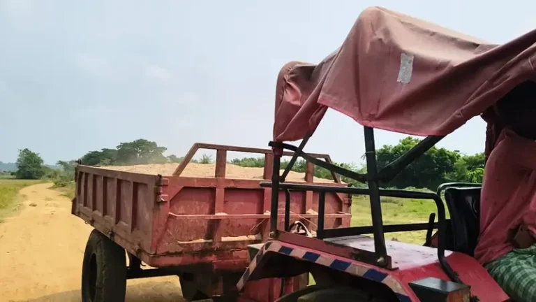 Seraikela: एनजीटी की रोक के बावजूद छेलकानी घाट पर अवैध बालू उठाव, सरकार को हो रहा करोड़ों का नुकसान…