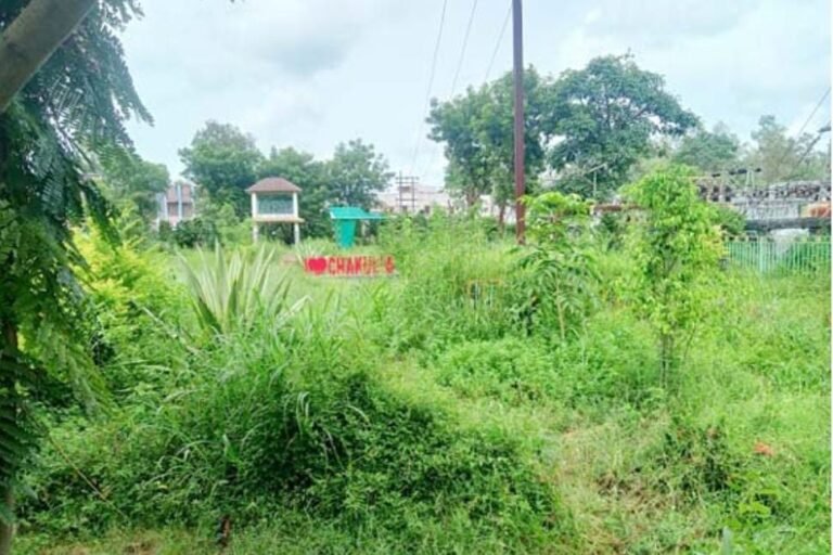 जमशेदपुर ग्रामीण क्षेत्र: नेताजी सुभाष चंद्र बोस पार्क जंगली झाड़ियों में ढंका, नगर प्रशासन बेखबर…