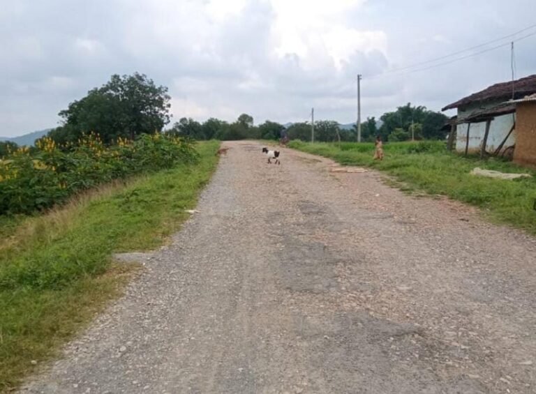 West Singhbhum: सरबिल-कुरकुटिया सड़क निर्माण में अनियमितता, ग्रामीणों ने गुणवत्ता सुनिश्चित न होने पर काम रोकने की दी चेतावनी…