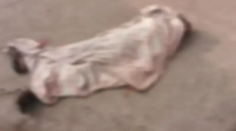 BIG BREAKING ADITYAPUR: लाल बिल्डिंग चौराहे के पास युवक का शव मिलने से हड़कंप, शराब बिक्री पर उठ रहे सवाल…