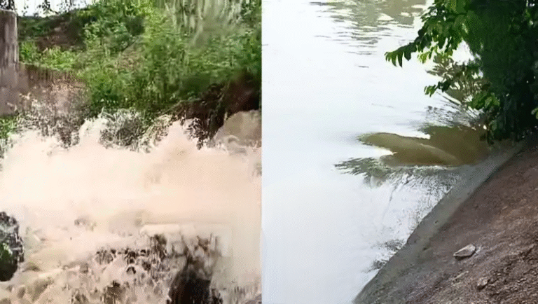 चांडिल डैम की नहर में छेद से घरों में घुसा पानी, ग्रामीणों ने विभाग पर जताई नाराजगी…