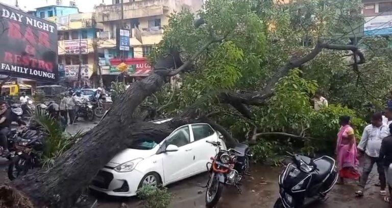Jamshedpur: बारिश में सड़क पर गिरा पेड़, घंटों जाम से परेशान रहे लोग…