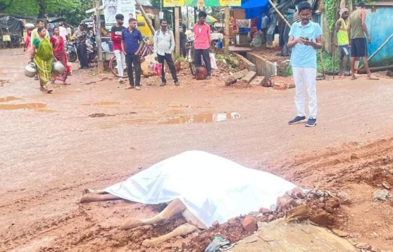 चाकुलिया में ठेकेदार की लापरवाही से बड़ा हादसा : करंट से सांढ़ की मौत, बाल-बाल बचे लोग…