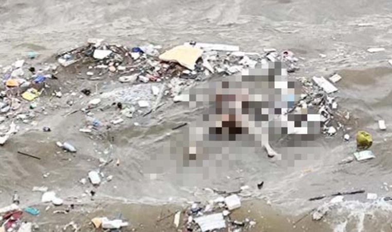 जमशेदपुर ग्रामीण क्षेत्र: गालूडीह स्वर्णरेखा बराज में मिला अज्ञात शव, पुलिस जांच में जुटी…