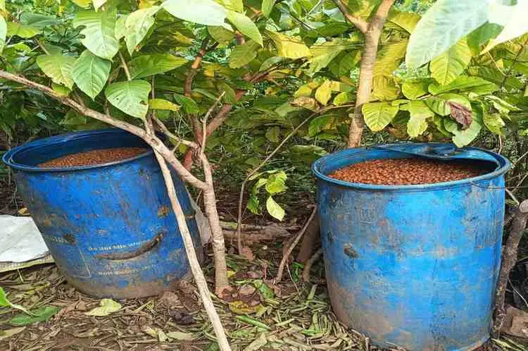 जमशेदपुर ग्रामीण क्षेत्र: बोड़ाम में अवैध शराब की भट्ठियों पर बड़ी कार्रवाई, डांगर नाला में ध्वस्त की गई तीन भट्ठियां…