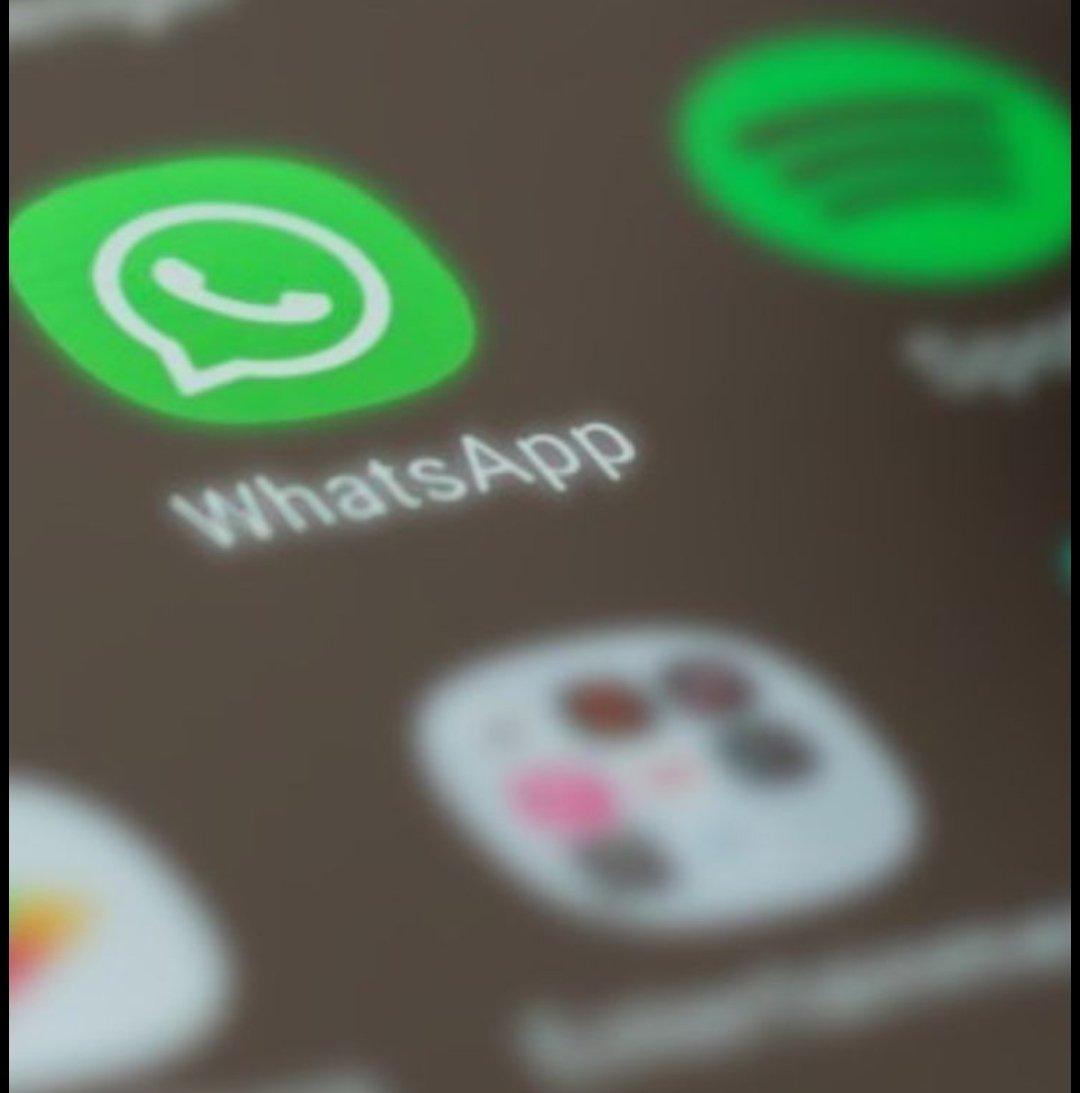 1000265966