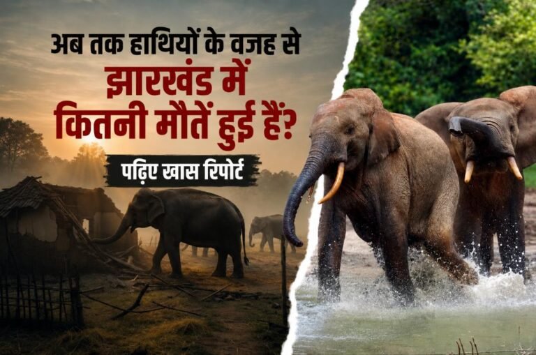 चीखते गांव, उजड़ते घर और मौत का बढ़ता आंकड़ा: 5 साल में हाथियों के हमलों में 474 लोगों की मौत, झारखंड में गहराया मानव-हाथी संघर्ष