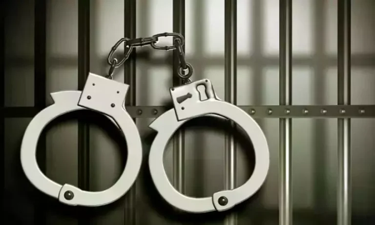 Jamshedpur: फर्जी नंबर प्लेट लगी चोरी की बाइक के साथ दो युवक गिरफ्तार, न्यायिक हिरासत में भेजे गए जेल
